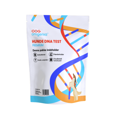 Dog DNA test - PREMIUM