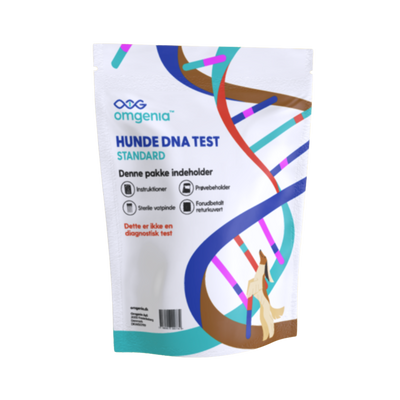 Dog DNA test - STANDARD