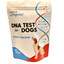 Dog DNA Test - Premium