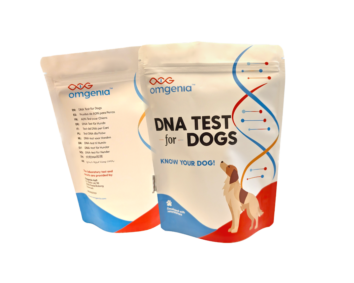 Dog DNA Test - Premium